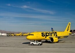 Complete Guide to Spirit Airlines Pet Policy: How to Travel with Your Dog or Cat