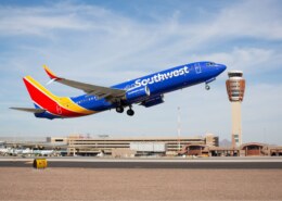 How to Prepare Your Pet for a Southwest Airlines Flight?