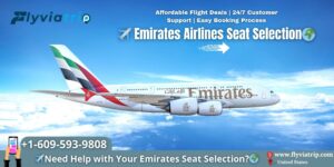 Emirates Airlines Seat Selection​